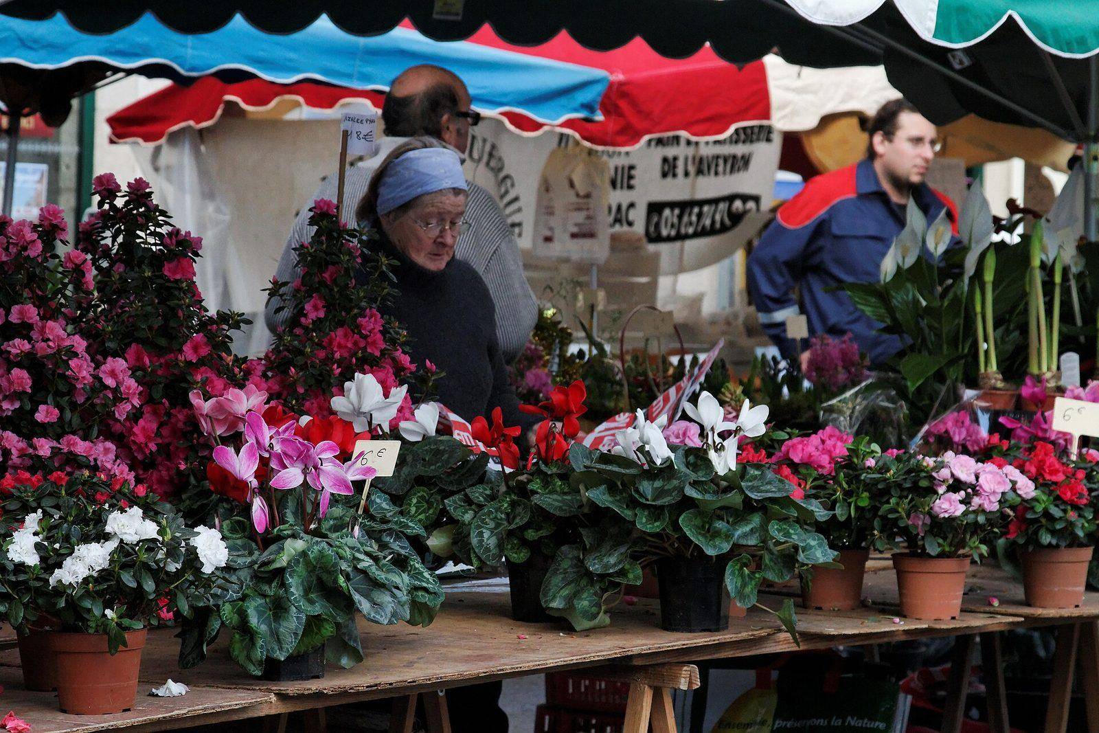 Marché de Périgueux : commerce local et création d’entreprise en Dordogne